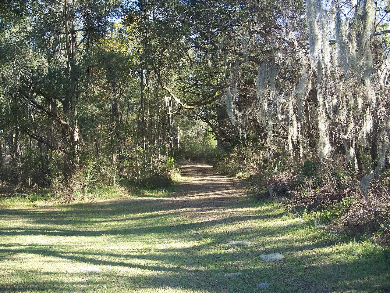 Cross Florida Greenway in Oclaa